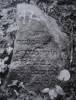 Yehuda Leib son of Zwi HaCohen
died 27 Shevat 5645 [12 Feb. 1885]